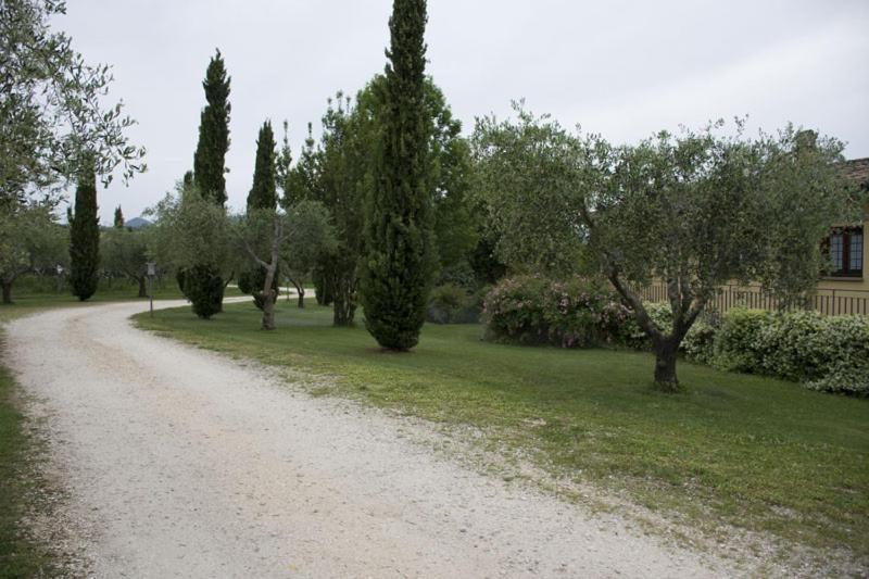 Agriturismo Scuderie Della Contea 수트리 외부 사진
